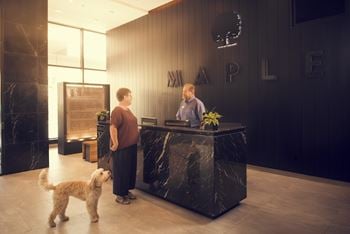 Pet friendly